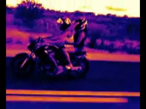 IasminVenancio’s Video 53072885338 l0e5qBAMoHw