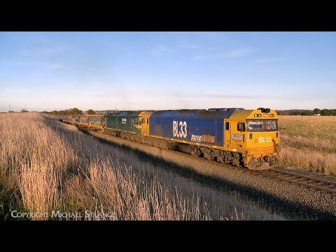 7733V Pacific National Standard Gauge Grain Train With BL33 & G539 (30/7/2024) - PoathTV Railways
