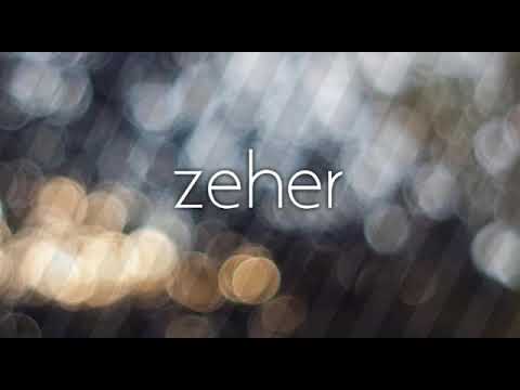 Zeher - regal brown vocal cover by x inferno