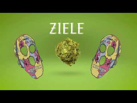 KOCIACZEK - ZIELE  (IZRAEL - ZIELE REMIX)