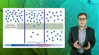 Essentials Concept Video SACE2 Biology - Movement Through Membranes