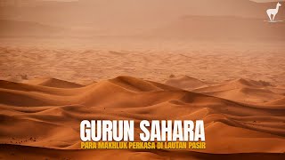 Download lagu Gurun Sahara: Kehidupan Makhluk Perkasa di Lautan Pasir Terbesar Dunia mp3