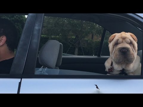 TDW 1635 - He's Ready For Christmas