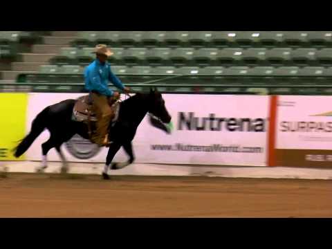 Mister Navy Diver ridden by Jon Roeser - 2014 Snaffle Bit Futurity(Rein Work - Open Prelims)