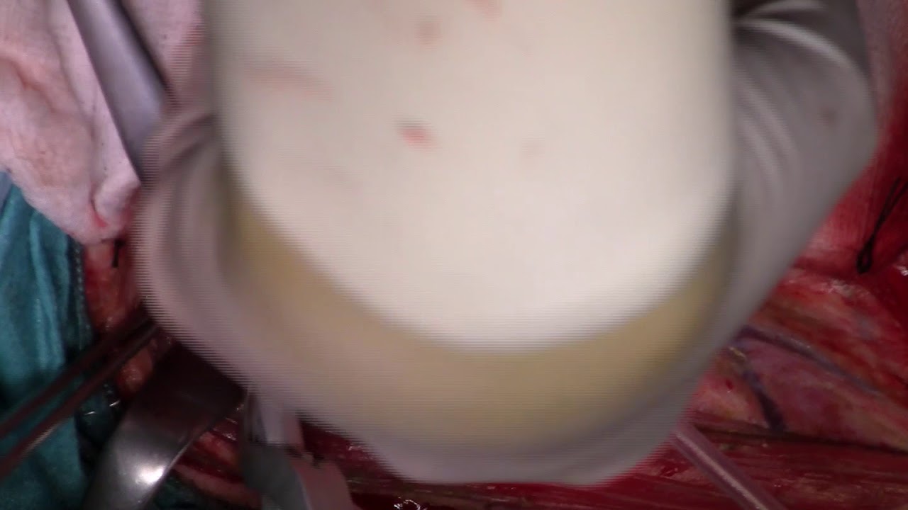 Raimundo Gutiérrez Fonseca-5