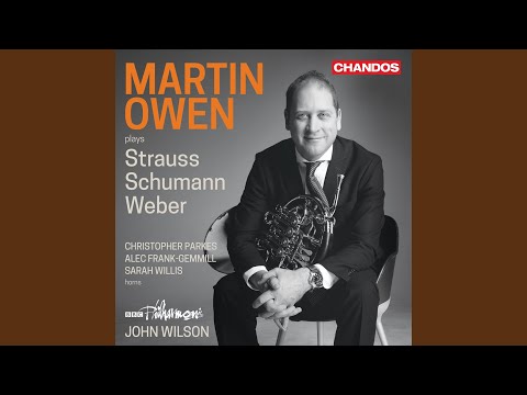 Concerto for Horn and Orchestra No. 2, TrV 283: II. Andante con moto