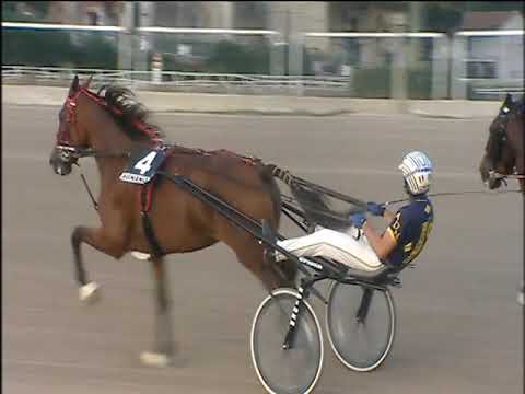 Trotto 13/10/2019 - 7ª corsa