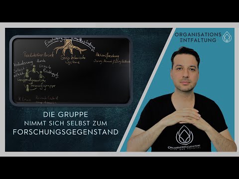 Was ist Gruppendynamik? Eine Wurzel der Organisationsentwicklung. einfach & kurz