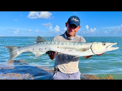 Fishing in the Florida Keys - Shore fishing lands MONSTER FISH!!! | The Fish Locker