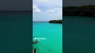 Cruise Excursion Shorts - Curaçao’s Grote Knip Beach While on Swimming with Sea Turtles Excursion