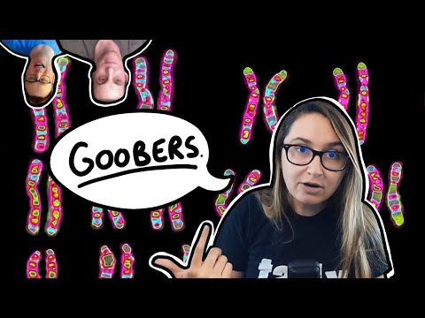 Yes, it's a Fusion | Another Mega Debunk