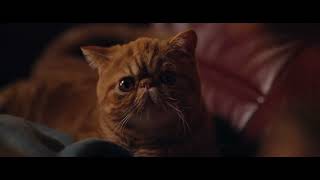 Download lagu Nothing Cracks Like Magnum | Classic mp3