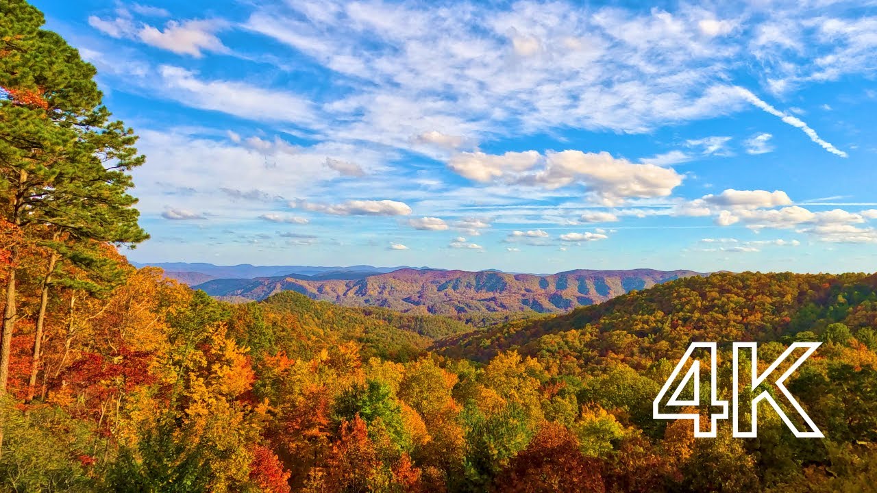 Stunning Fall Foliage in the Mountains to Calm and Relax Your Mind