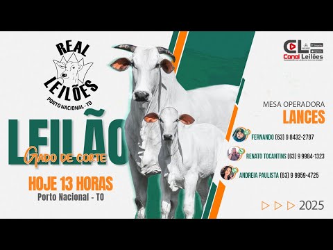 Canalleiloes.com | LEILÃO GADO DE CORTE REAL LEILÕES - PORTO NACIONAL-TO | 04/11/2025