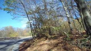 MISS YOU BLUES, MARK KNOPFLER, old forest`s images &amp; a perfect tune + Lyrics