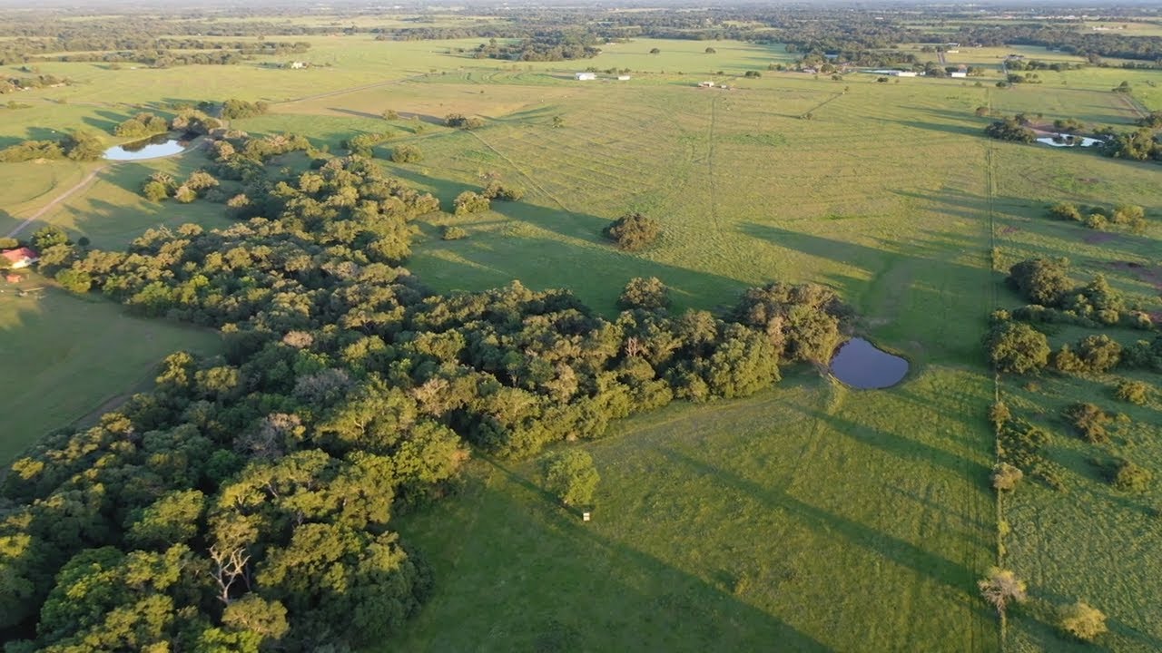 2550 County Rd 201 Weimer TX 75 Acres For Sale