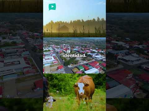 Así suenan las mañanas en el campo de Guanacaste 🌿 | Tilarán