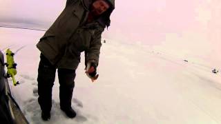 Ловля окуня в котлах на рыбинке