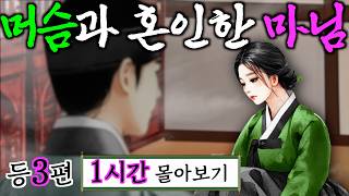 여우야담 몰아보기 '마님이 머슴과 혼인한 이유' 등 3편 1시간. 야담·민담·전설·설화·옛날이야기