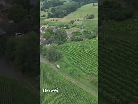 Rundflug über Maria Bild