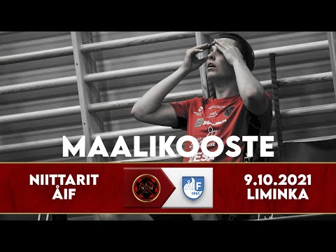 Maalikooste LNM - ÅIF 9.10.2021