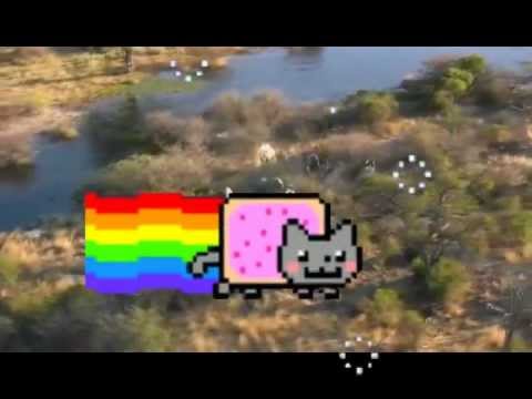 Nyan cat over Africa