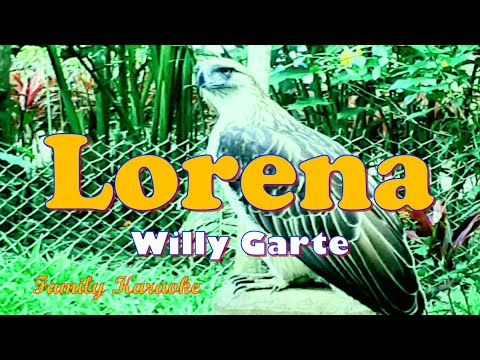 Lorena - Karaoke - Willy Garte #FamilyKaraoke