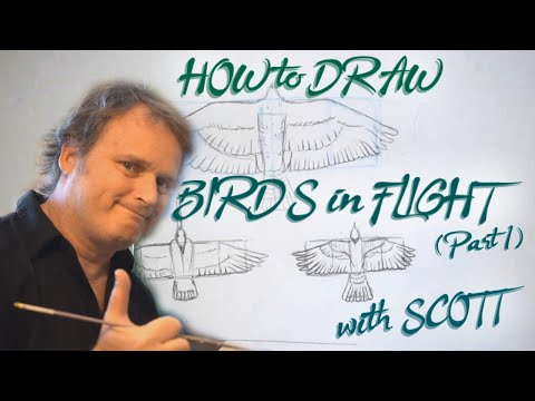 HOW TO DRAW - Birds in Flight (Part 1) - with Scott