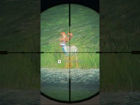 WAS für ein DAMHIRSCH!? theHunter Call of the Wild #shorts