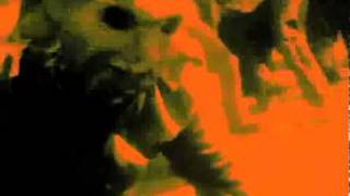Rancid - Poison (Music Video)