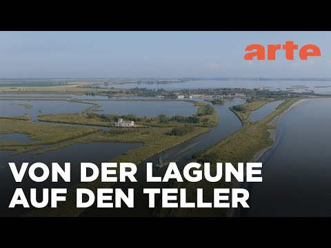 Ferrara und Südliches Po-Delta | Köstliche Emilia-Romagna | ARTE Family