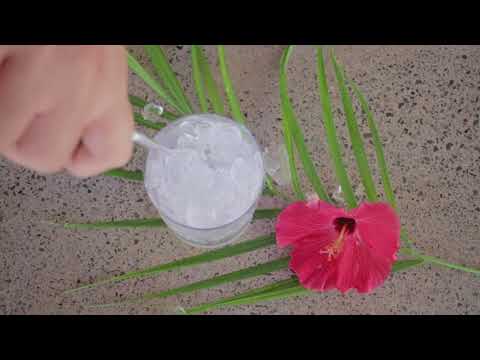 Dollar Wine Cocktail Recipe from Coconut Bay Beach Resort & Spa