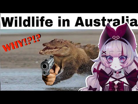 Australia is HORRIFYING and I'll never recover | More Parz reaction