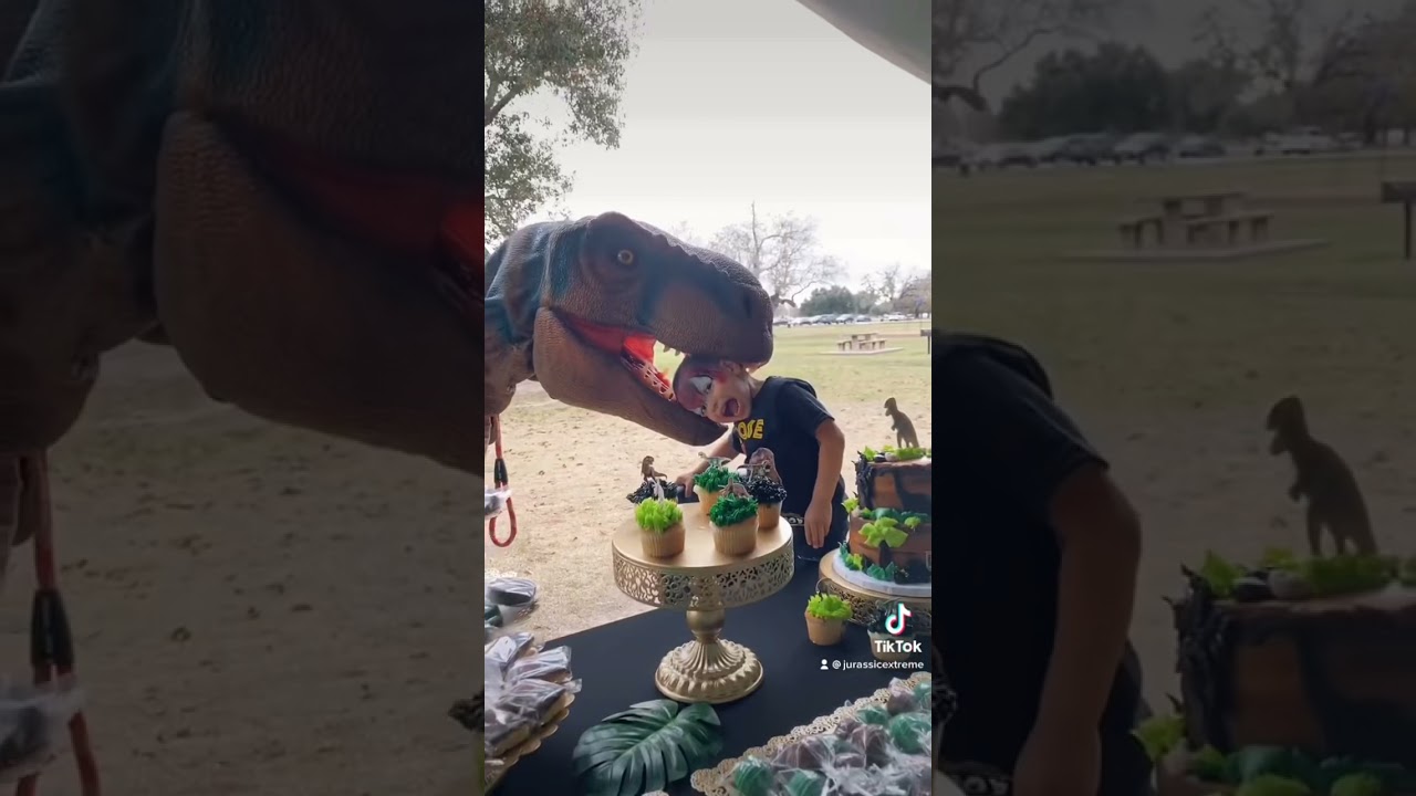 Fun dinosaur birthday party in Houston!