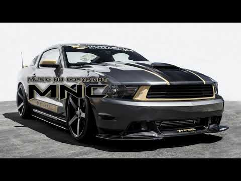 CAT IN DA GLASSES   VHS PLAYA