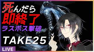 【死んだら即終了】ダークソウルをノーデスでラスボス撃破 TAKE25 part3