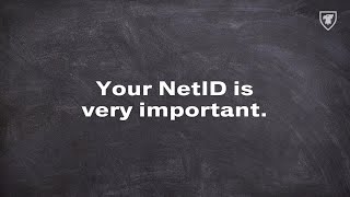 How to create your NetID password