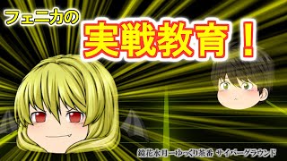 《ゆっくり茶番》フェニカ先生のご指導！？ハーフの応用編とは…