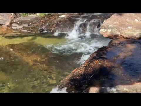 Oração de Desprendimento