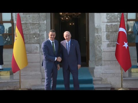 Turkish President Recep Tayyip Erdogan meets Spanish Prime Minister Sanchez | AFP