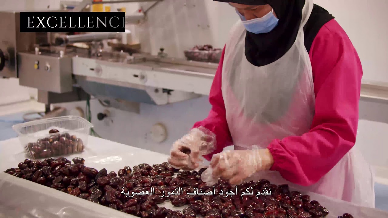 Producing the highest quality of Dates