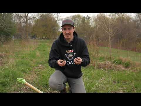 Soil Health | Wiki Coffee