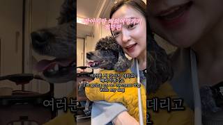 부산에서 우즈벡갈때 생긴썰.. #애견동반해외여행동물검역증명서 떼야하는데 사무실 문닫은 썰