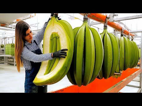 500 Most Satisfying Videos of Workers Doing Their Job Perfectly!