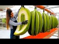 500 Most Satisfying Videos Of Workers Doing Their Job Perfectly