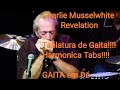 🎶 Revelation - Charlie Musselwhite (Full Harmonica Tab - Tablatura de Gaita completa)