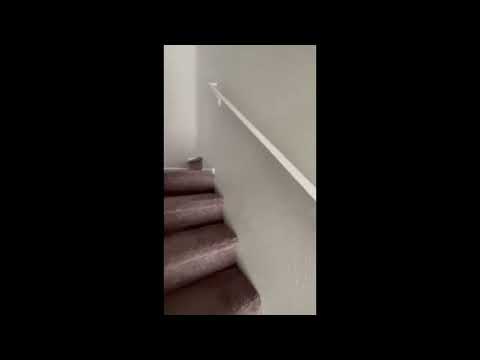 Nice home for rent property video