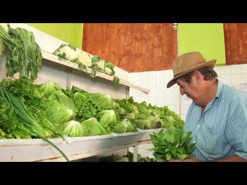 Reformas buscam retomar público no Mercado Municipal