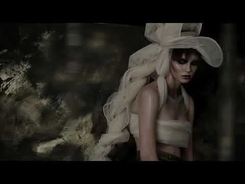 Silvia  Serban Autum/WInter 2013 Collection