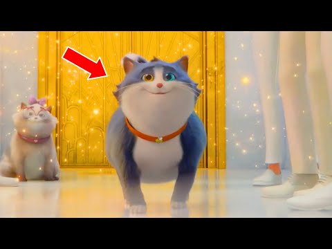 The Impossible Journey of a Cat's 9 Lives - MOVIE RECAP